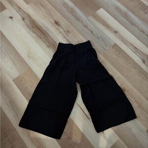 Aritzia Wide Leg Crop Dress Pant